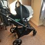 buggy cibex Image 7