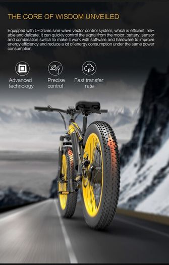 Lankeleisi Xf4000 Electric Bike