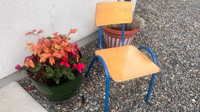 Vintage School Chair ( childs)