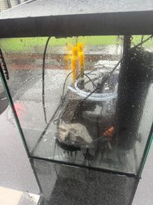 Fish tank