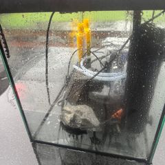 Fish tank