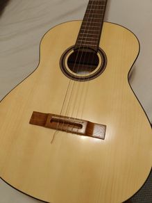 Flamenco/Classical Guitar