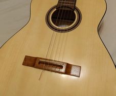 Flamenco/Classical Guitar