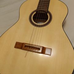 Flamenco/Classical Guitar