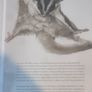 Ben Rothery Hidden Planet Image 4