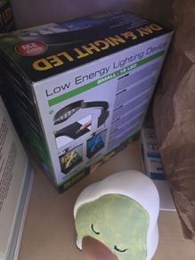 terrarium light