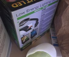 terrarium light