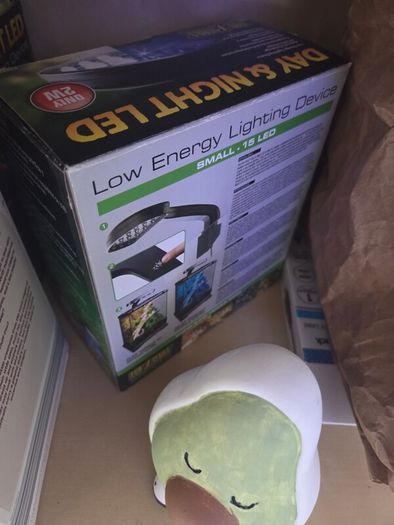terrarium light