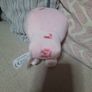 Minecraft baby pig Image 4