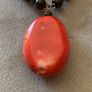 Red Coral Pendant Image 2