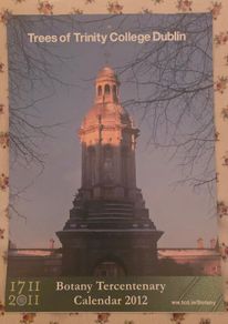 Trees of Trinity College Dublin TCD Botany Tercentenary Calender 2012 1711-2011 Collectors Item Rare