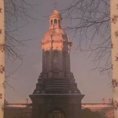 Trees of Trinity College Dublin TCD Botany Tercentenary Calender 2012 1711-2011 Collectors Item Rare