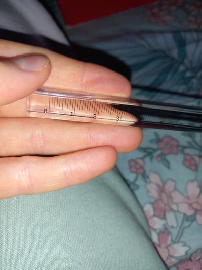 See thru ruler