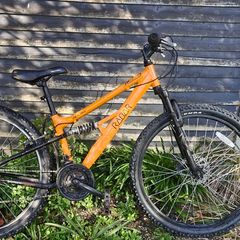 mountain bicycle