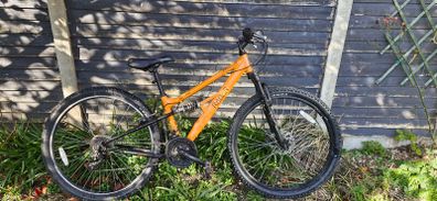 mountain bicycle