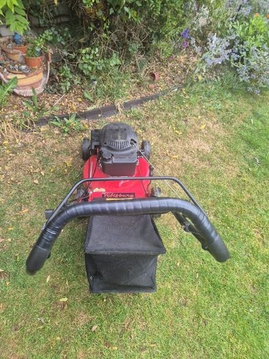 Wolfberg petrol push lawnmower