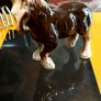 Vintage Ceramic  Shire Horse Image 3