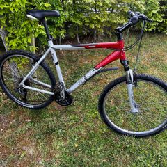Giant Aluxx 6000 ( Large )