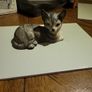 Cat ornament Image 2