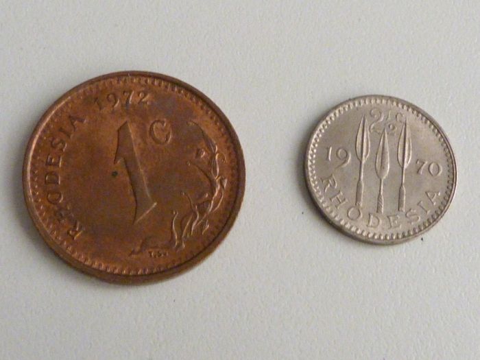 Rhodesia pair