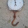 Salter Scales Image 3