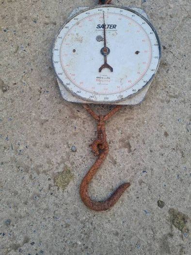 Salter Scales