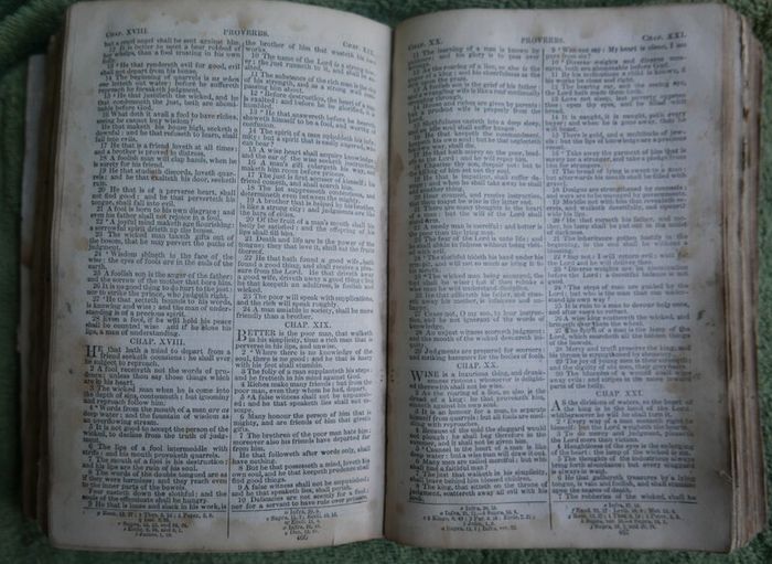The Ave Maria A Magazine Devoted to the Honor of the Blessed Virgin 1894 and the Bible