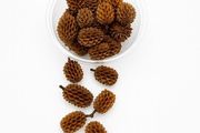Casuarina Cones 80 ml - natural tannins for your aquarium