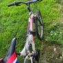 Adult Bicycle Image 3