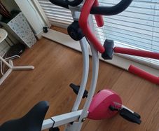 Bicle sports