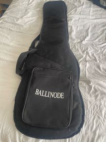 Electric or bass guitar bag