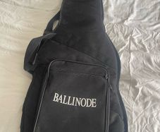 Electric or bass guitar bag