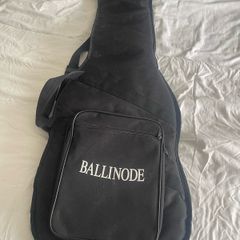 Electric or bass guitar bag