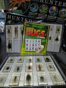 National geographic  real life bugs & insects