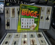 National geographic  real life bugs & insects