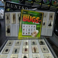 National geographic  real life bugs & insects