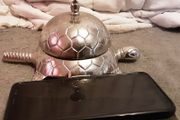 white cast metal turtle/ tortoise counter bell,  ideal for a pet shop