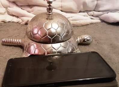 white cast metal turtle/ tortoise counter bell,  ideal for a pet shop