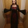 dress Image 2