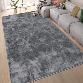Area Rugs  Soft, Short Pile Monochrome Carpets - Anti-Slip Backing, Machine Washable, Modern Fluffy Rugs for Living Room, Bedroom, Kitchen, Enterance - Anthracite, 60x110 cm