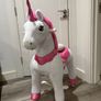 PonyCycle Ride Image 3