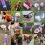 Poseca Dog Coat 3-in-1 Waterproof Winter Jacket with Built-in Harness - Brand New Image 4