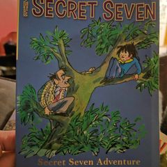 The Secret Seven