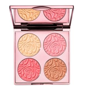 By Terry Brightening CC Palette