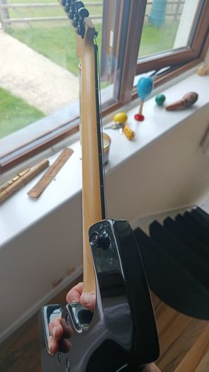 Guitar Parker P42