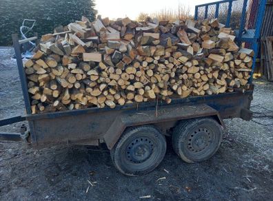 Solid Fuel Firing