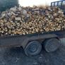 Fire Wood Image 4