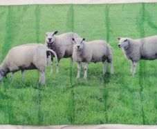 Sheep and Lambs Farming flag 3ft x 2ft.