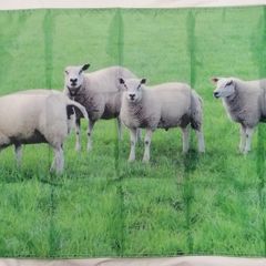 Sheep and Lambs Farming flag 3ft x 2ft.