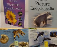 My First Picture Encyclopedia Hardback book
